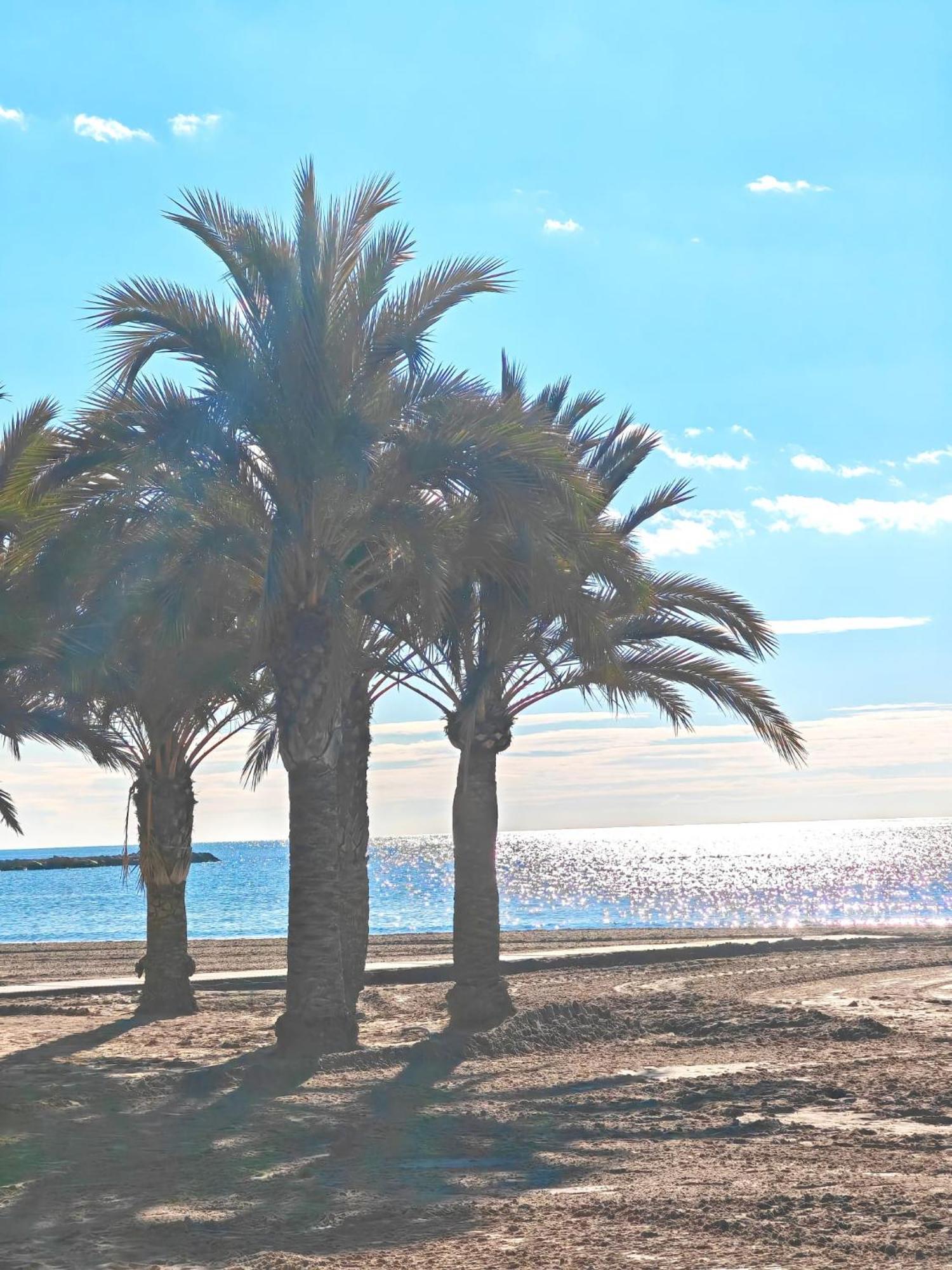 Bungalow Gaviota Con Playa Y Terraza Villa Santa Pola Exterior foto